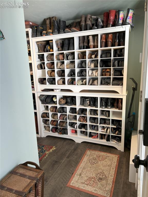 walk in closet featuring dark wood-type flooring