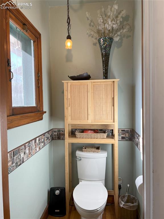 bathroom featuring wood-type flooring and toilet