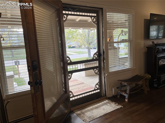 entryway featuring a baseboard radiator and wood-type flooring