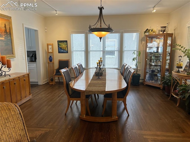 dining space featuring track lighting and dark wood-type flooring