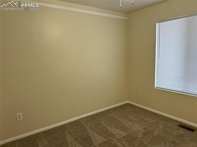 spare room with carpet floors and crown molding