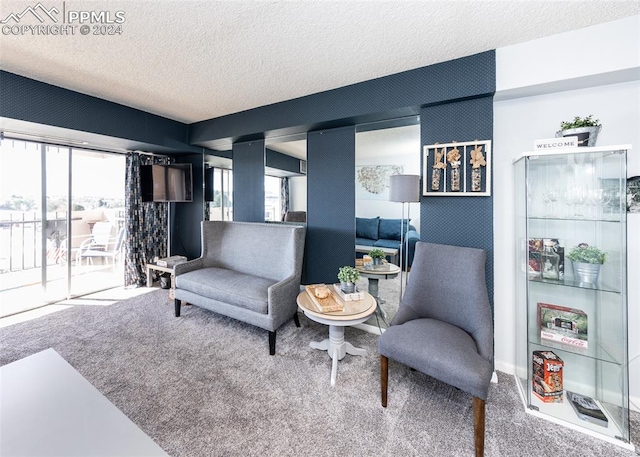 living room featuring carpet and a textured ceiling