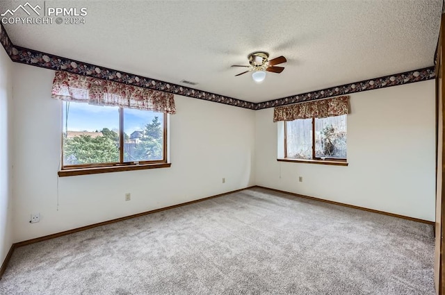 unfurnished room featuring carpet flooring, a wealth of natural light, and a textured ceiling