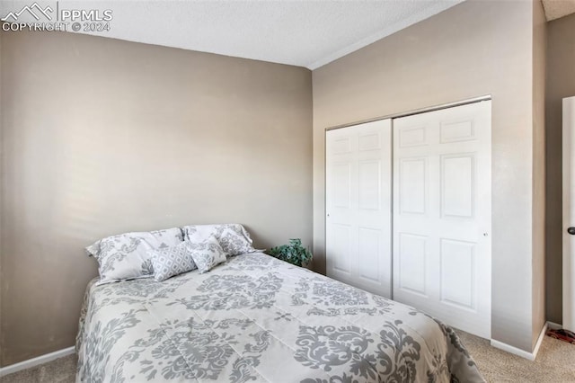 bedroom featuring a closet, carpet floors, and a textured ceiling