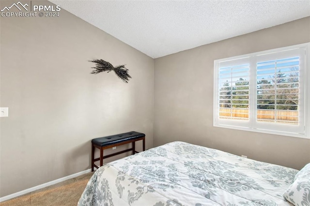 carpeted bedroom with a textured ceiling