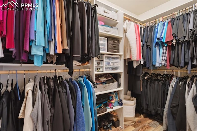 walk in closet with hardwood / wood-style flooring