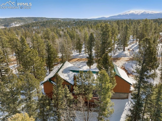 birds eye view of property featuring a mountain view