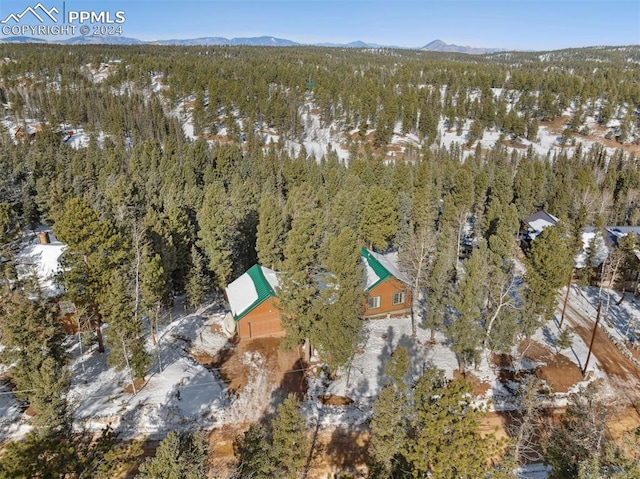 birds eye view of property featuring a mountain view