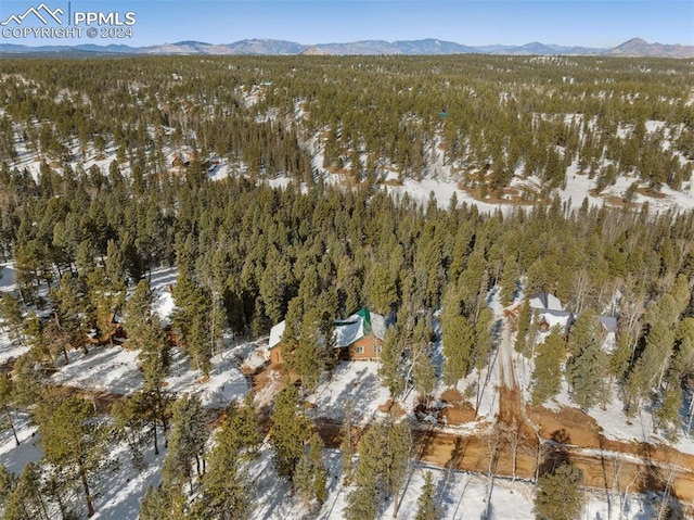 snowy aerial view featuring a mountain view