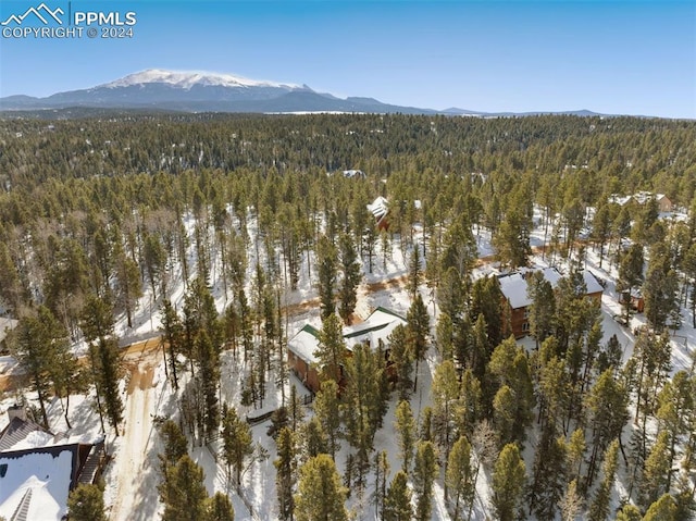 drone / aerial view featuring a mountain view