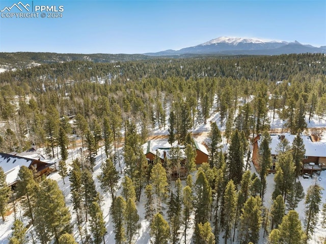 snowy aerial view featuring a mountain view