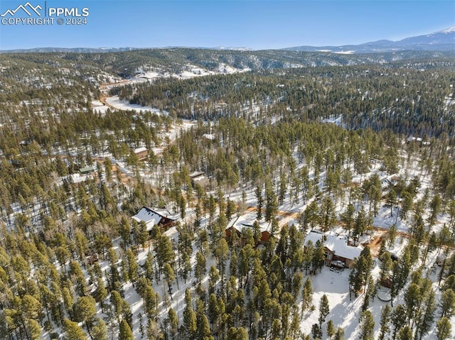 snowy aerial view featuring a mountain view