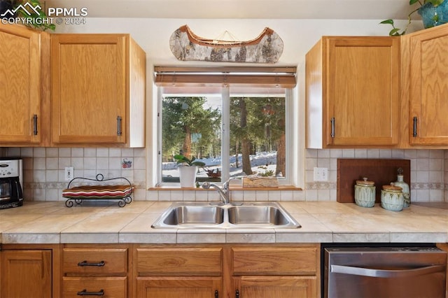 kitchen featuring tasteful backsplash, sink, and stainless steel dishwasher