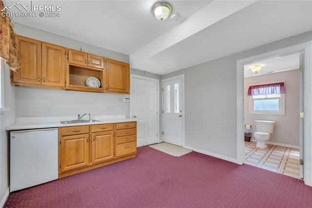 kitchen featuring sink, carpet floors, and white appliances