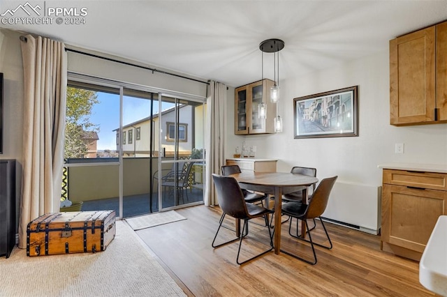 dining area with light hardwood / wood-style flooring