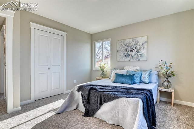 carpeted bedroom with a closet