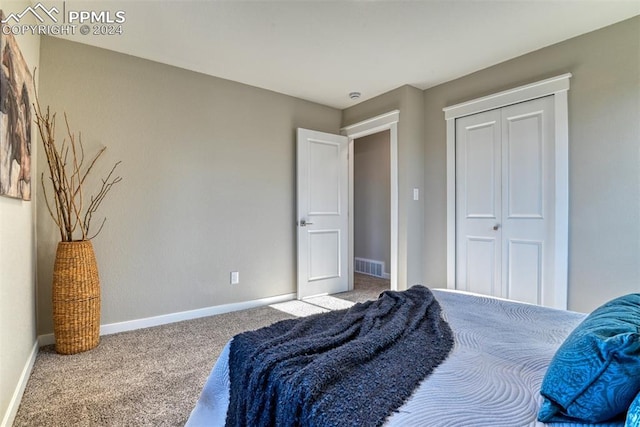 carpeted bedroom featuring a closet