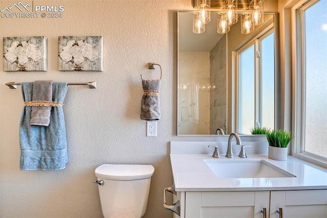 bathroom featuring vanity, toilet, and walk in shower