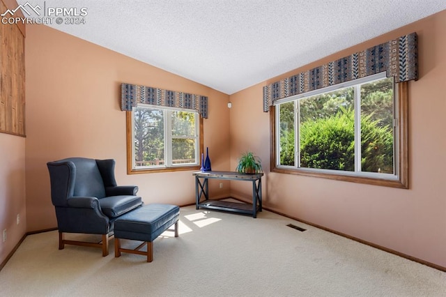 living area with carpet, lofted ceiling, a textured ceiling, and a wealth of natural light