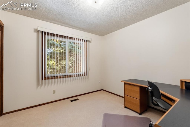 unfurnished office featuring light carpet and a textured ceiling