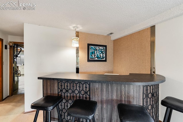 bar with light colored carpet and a textured ceiling