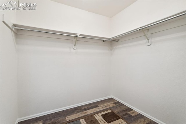 spacious closet featuring dark hardwood / wood-style flooring