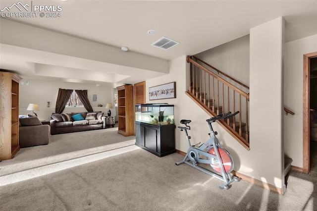 workout area featuring carpet floors