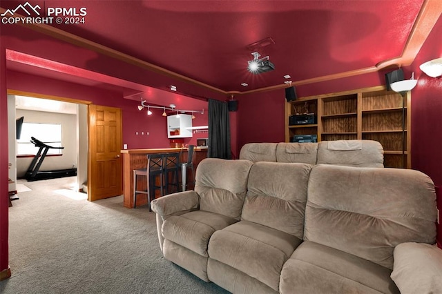 carpeted home theater room featuring bar