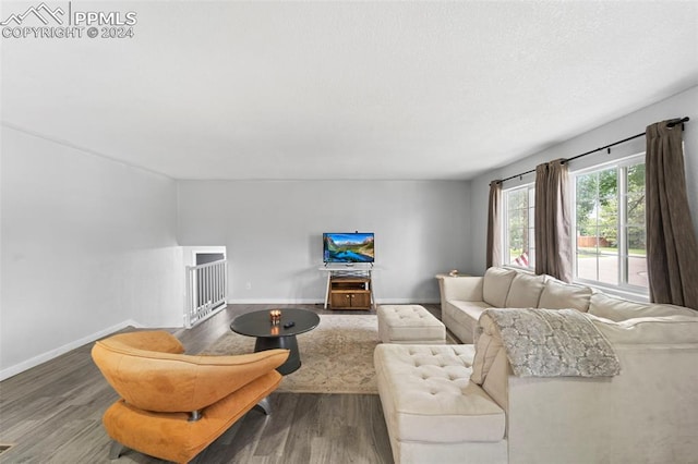 living room featuring wood-type flooring