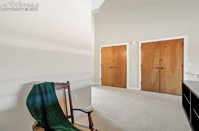 sitting room featuring carpet flooring and a high ceiling