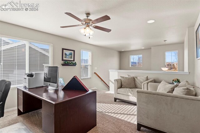 carpeted office with ceiling fan and a healthy amount of sunlight