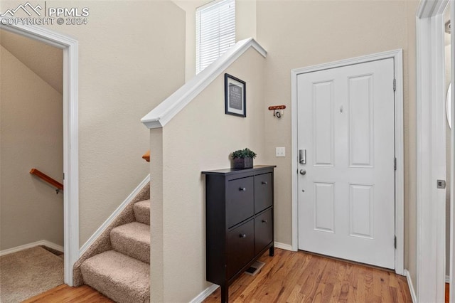 foyer featuring wood-type flooring