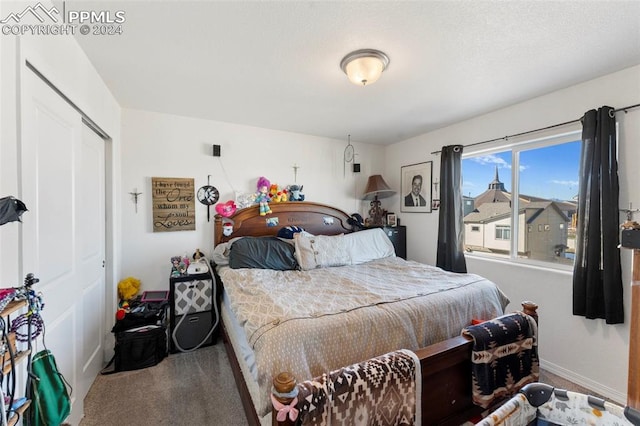 carpeted bedroom with a closet