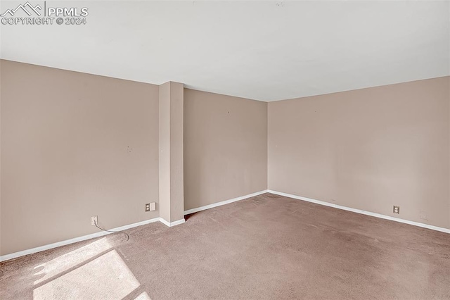 spare room with carpet floors