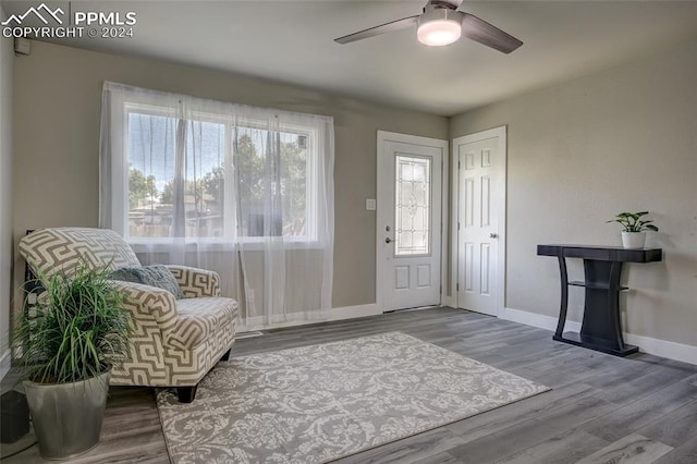 foyer with ceiling fan and hardwood / wood-style flooring