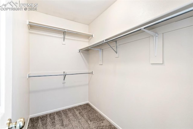 spacious closet with carpet floors