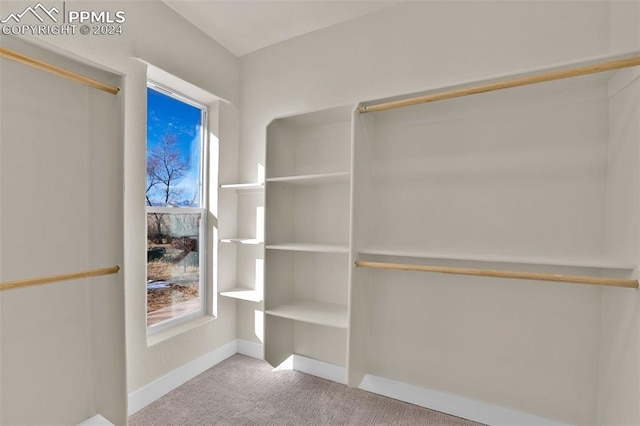 walk in closet featuring light carpet