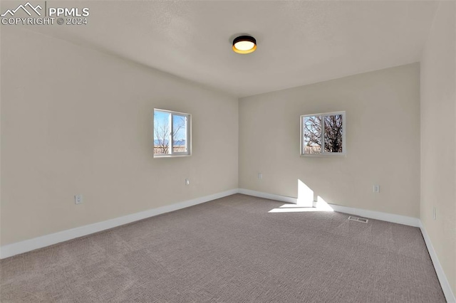 empty room with a wealth of natural light and carpet