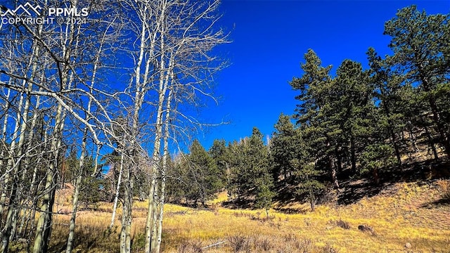 Listing photo 2 for 434 Dandy Jim Dr, Cripple Creek CO 80813