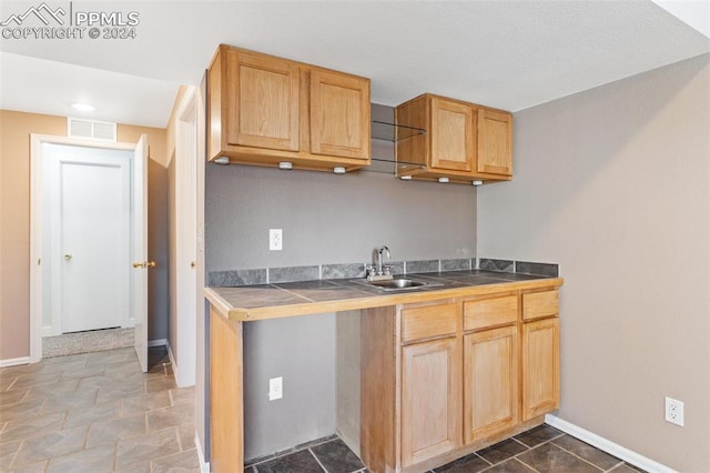 kitchen with sink