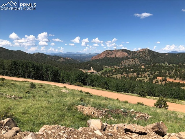 1720 Troy Dr, Cripple Creek CO, 80813 land for sale