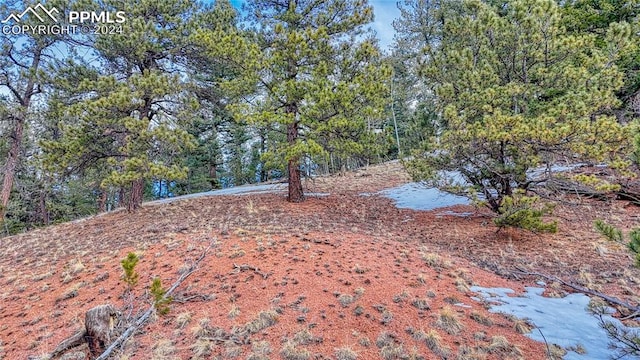 Listing photo 3 for 204 Idlewild Dr, Cripple Creek CO 80813