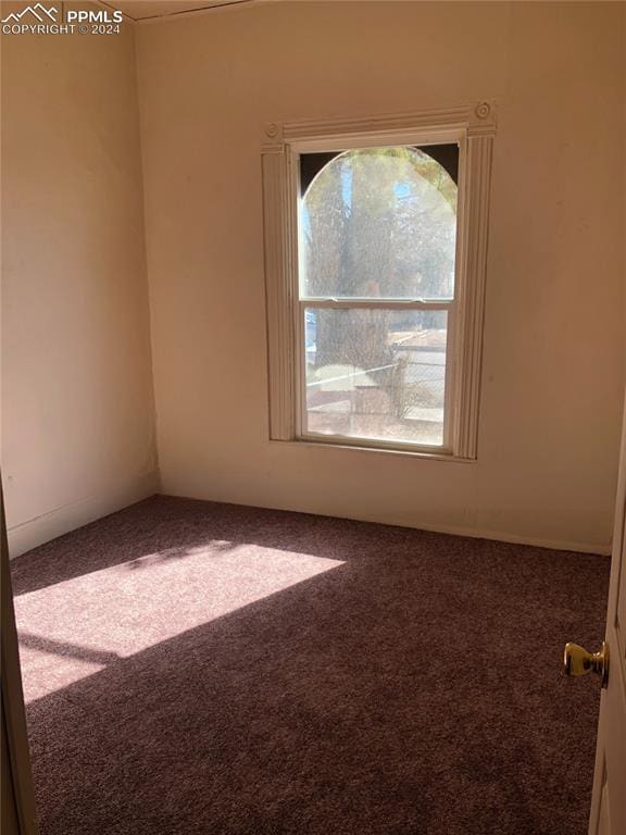 unfurnished room featuring carpet flooring