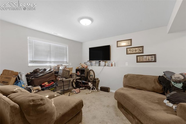 living room with light carpet