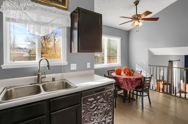 kitchen featuring sink, vaulted ceiling, a textured ceiling, light hardwood / wood-style floors, and dark brown cabinetry