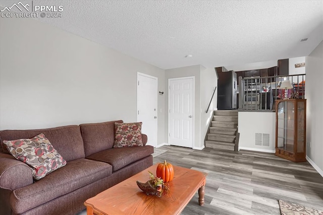 living room featuring hardwood / wood-style floors and a textured ceiling