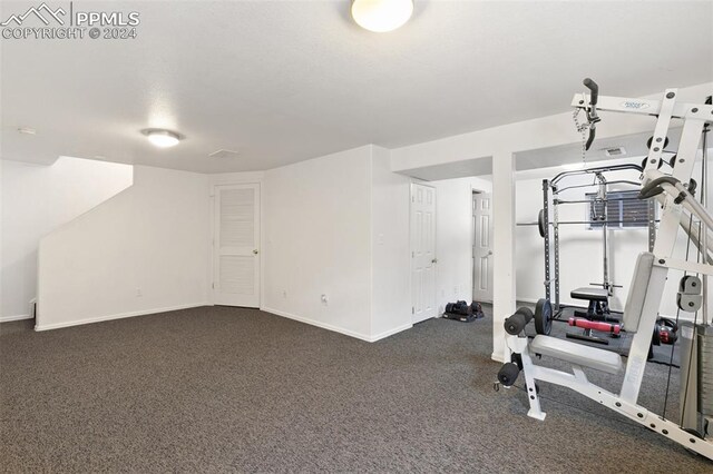 exercise room with dark colored carpet