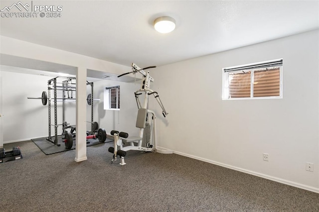 exercise area with carpet floors