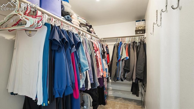 walk in closet with carpet