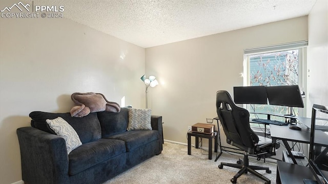 office area with light colored carpet and a textured ceiling